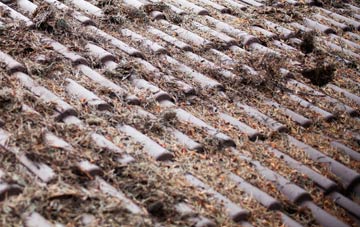 Nab Wood roof cleaning companies